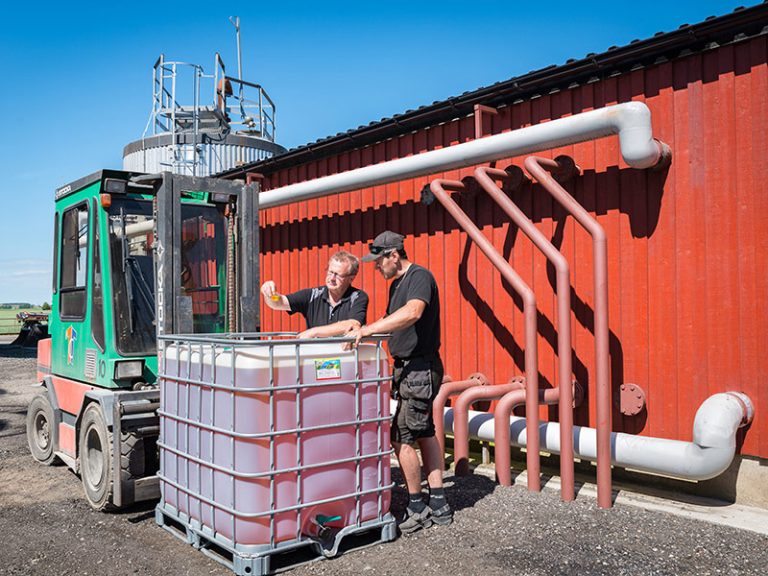 Om linolja – Boställets lin